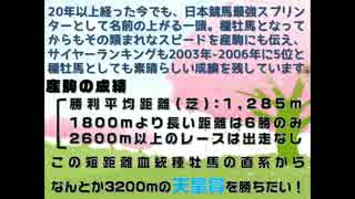 ウイニングポスト8 2015　サクラバクシンオーから天皇賞を目指す Part.2