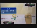 【ポケモンORAS】対戦ゆっくり実況029 大爆発パーティー！