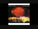Pink Floyd - Poles Apart 8.23.1994