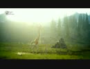【フルHD】World of Wonder Vol.1 – Wildlife & Ecology 【FF15】