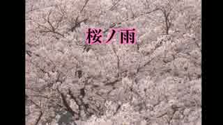 【黒バス】キセキ八人で桜.ノ.雨【人力ボカロ】