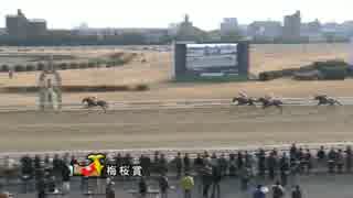 第2回梅桜賞 トーコーヴィーナス