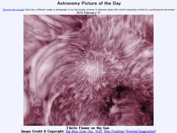 2015年 2月17日 ｢太陽表面のフィブリルの花｣-Astronomy Picture of the Day