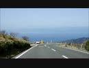 【車載動画】本州最速で満開になった河津桜を見に行ってきた　②
