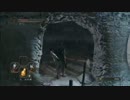 「実況」【PS3】ダークソウル2part18