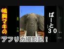 【AFRIKA】鳩胸マキのアフリカ撮影記！ぱーと㉚命を懸けて！