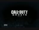 【PS3】サバゲーやってないな~よしCoDやろう　１１　【CoD:G】