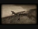 【Radiation Island】パラレルワールドの島でサバイバル【実況】 part2