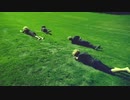 Born Gold - Here We Are