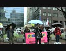 【2015/3/1】大嫌韓デモ ver.2 in 銀座1【桜井誠】