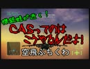 機銃蛙が逝く.ＣＡＳってのはこうやるんだよ！空飛ぶちくわ