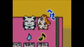 【2人実況】”さくさく”ハム太郎２　ハムちゃんズ捕獲作戦でちゅ　Part11