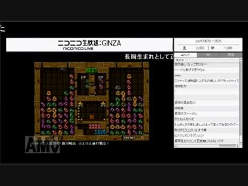 長岡の昆虫花火