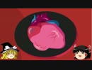 【ゆっくり実況】ゆっくり霊夢が５分以内に現世から脱出する Part2
