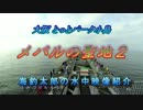 水中カメラ沈めてみた89　驚愕！メバルが凄い！海釣り公園のメバル