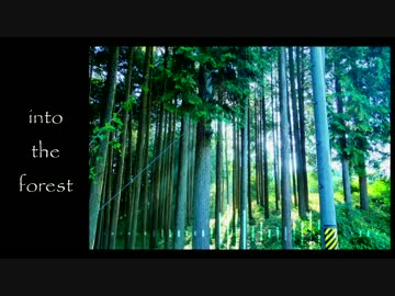 【NNI】into the forest 【自作インスト曲】