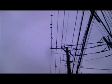イカラッパー×鉄骨姉さんｗ
