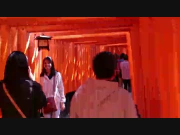 Look at Fushimi Inari with the general male(一般男性).