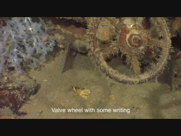 【フルHD・翻訳版】シブヤン海に眠る武蔵【転載】