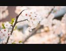 【作業用BGM】不安解消