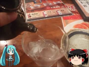 【ミクますの】沖縄１泊ジャンボの旅　その2【気分は上々】
