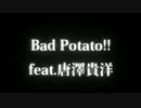 【東方】Bad Potato!! feat.唐澤貴洋【影絵】