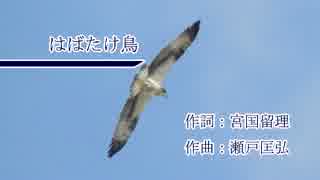 【ボカロ合唱】はばたけ鳥【混声三部】