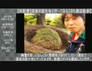 ハシケン 外配信_総集編 2014年06月04日