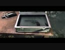 何かがブレイクしそうなPSYCHOBREAK part11-1