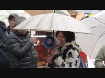 2015.3.1 大嫌韓デモ ver.2 in 銀座  2/2
