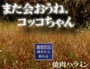 【また会おうね】チキンな姉妹が絶叫プレイ【コッコちゃん】パート１