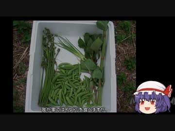 ゆっくり農民01ワラビを育ててみませんか？