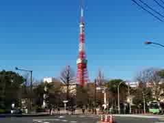 今日の東京タワー（朝から夕方）