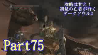 【実況】攻略は甘え！初見の亡者が行くダークソウル2【DarkSoulsII】part75