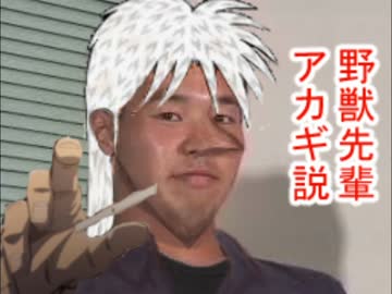野獣先輩アカギ説