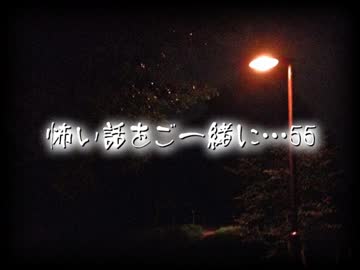 【2ch】怖い話をご一緒に…55
