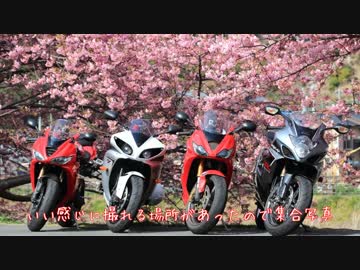 【河津桜】Daytona675と走ってきました。【エンジン復活】