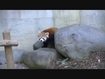 出張旅行～愛媛編③