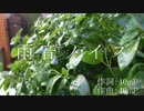 ∴☂∵【ピアノで】 雨音ノイズ 【弾いてみた】∵☂∴