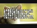 【ゆっくり怪談】飼い猫の鳴き声と、何かにぶつかったような音がした