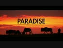 Coldplay - Paradise