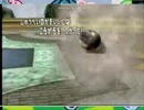 バトレボ主に霰パ２５１～夏のDSバトル６～