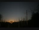『恋しくて』を大学生の時に歌ってみた by UmiNeko