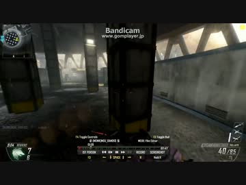 【PC版】ダメ子のへたれプレイ⑯ BO2 TDM【CoD:BO2】