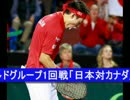 錦織がストレート勝利で初日は1勝1敗 [デ杯テニス].wmv