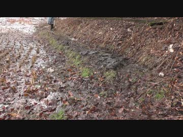 まったり農家な一日