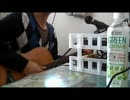 【猫背のみそ】　グリグリメガネと月光蟲　を　弾き語りいっきょく