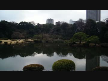 【ゆっくり】新宿御苑経由秋葉原駅ウォーキング【徒歩】