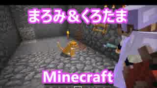 【Minecraft】明かし暮らせたまへばPart41【実況】