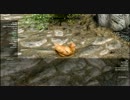 [skyrim] カメラ別制御テスト